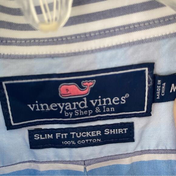 Vineyard Vines Slim Fit Mens Tucker Button Down Shirt medium Blue Pink Stripe - Picture 2 of 4